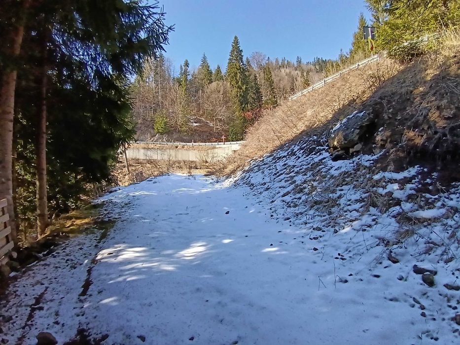 Teren  cu IESIRE LA LAC Colibita 10 -15 arii .