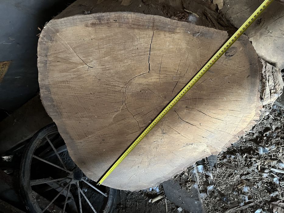 blat masute, rondele lemn