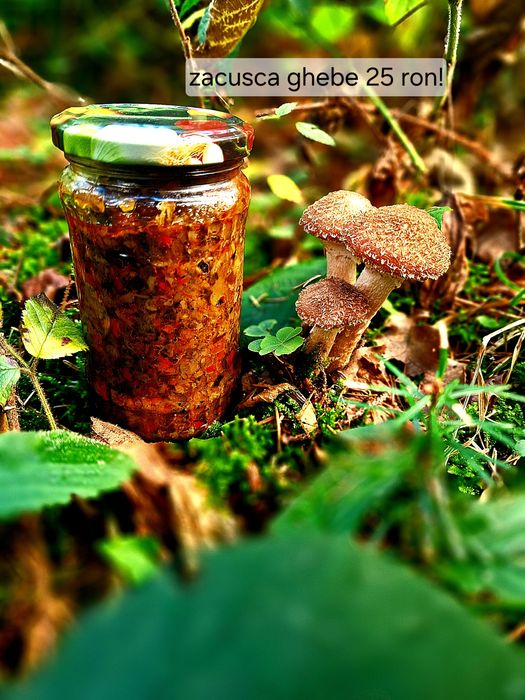 Zacusca de ghebe!