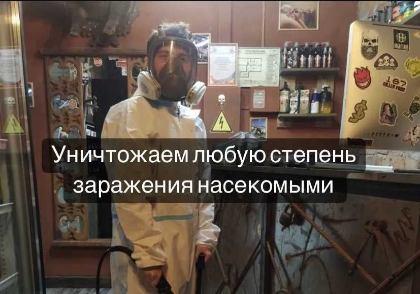 Дезинфекция от клопов | Dezinfeksiya hashoratlarga qarshi | Klapa