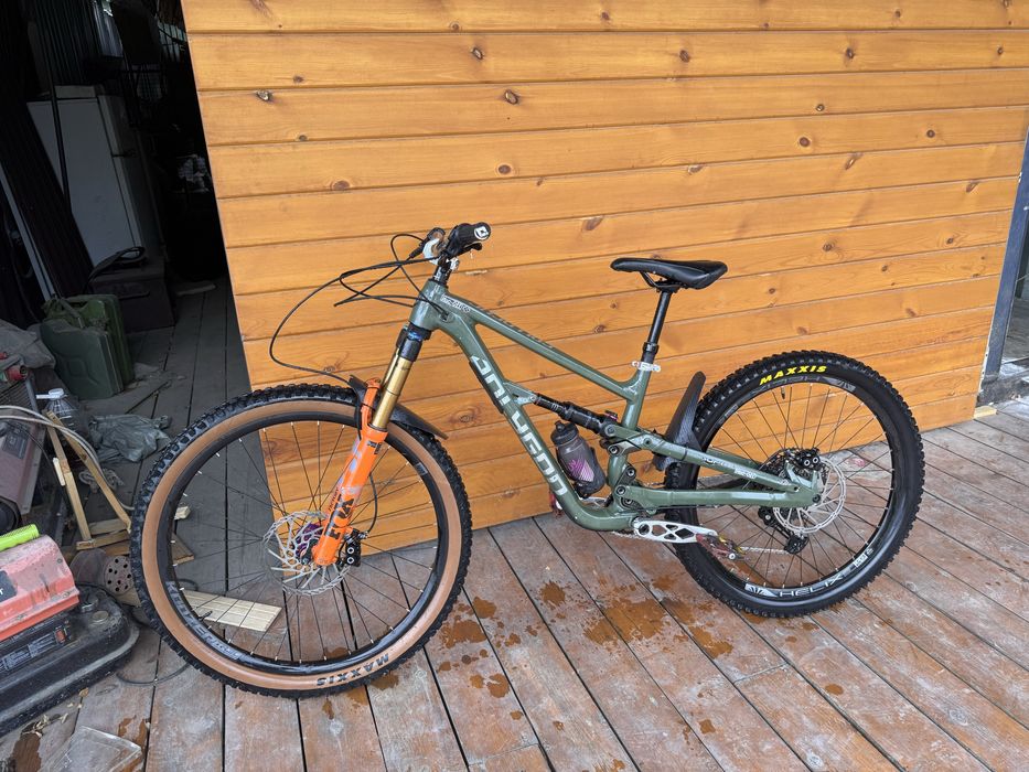Polygon collosus n9