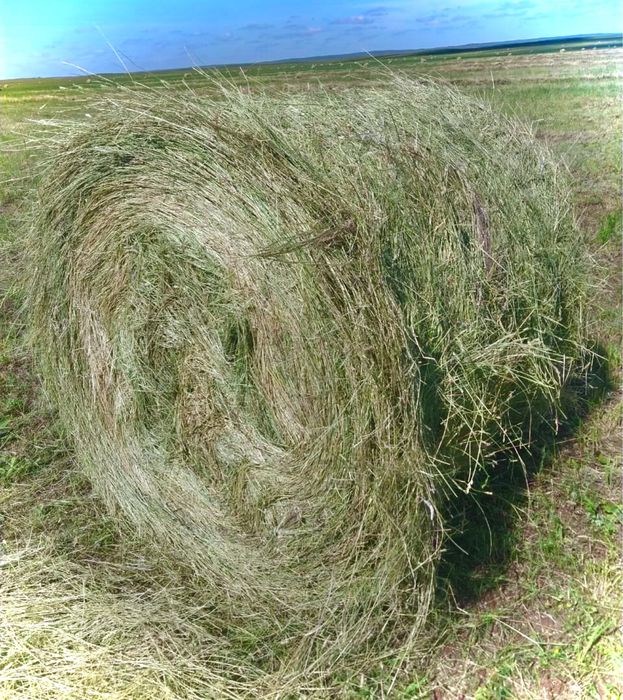 Сено в рулонах РАЗНОТРАВЬЕ.