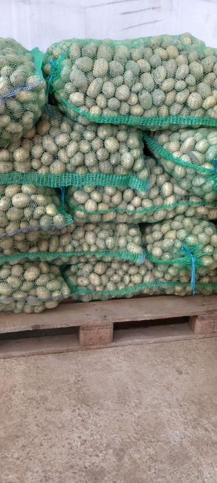 Cartofi pentru animale