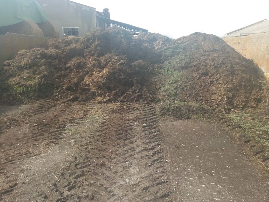 Vand sau Schimb Gunoi de vaci de 4 ani Bio cu certificat EcoCert