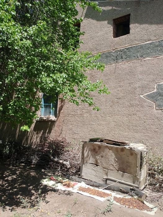 24. sotixli 9 xonali hovli uy sotiladi, To‘rtko‘l"