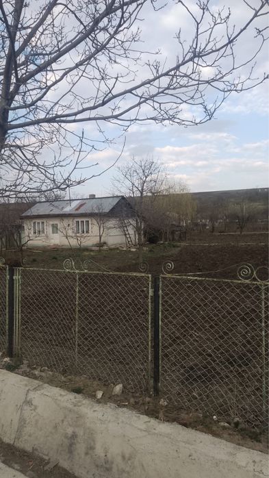 Vand casa Drislea jud Botosani