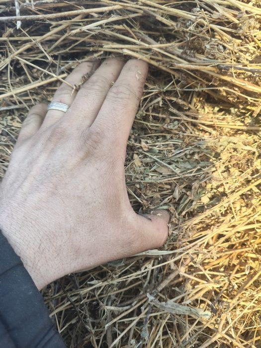 Baloti de lucernă cu iarba