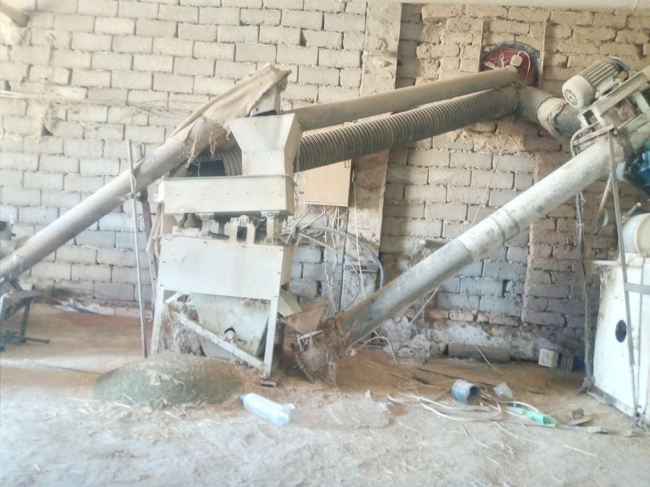 Sholi tegirmon xitoy GIGANT