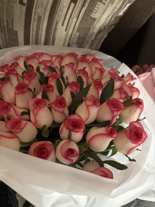 51 роза 15к бу .