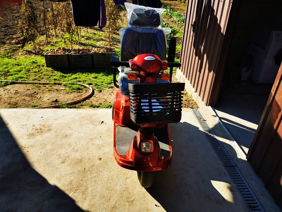 Carucior handicap electric