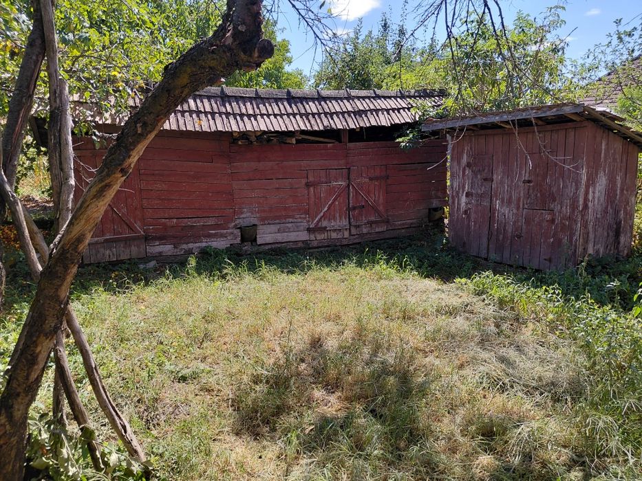 Casa 3 camere + Sura si anexe