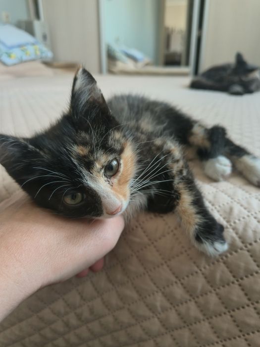 Малышки, которые дарят радость