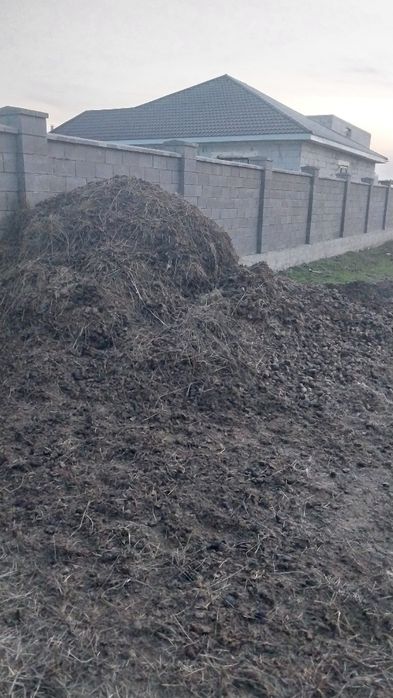 Конский навоз для удобрения огорода