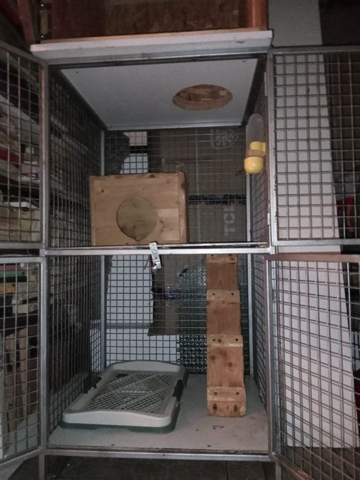 Vand cusca pentru animalut " pretențios"