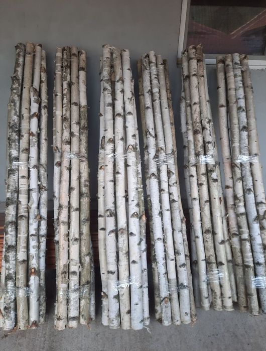 Lemn mesteacan / Paravane mesteacan alb / Tulpini mesteacan