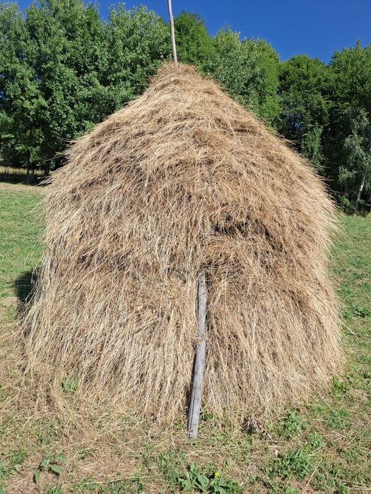 Vând 10 clăi mari de fân de calitatea1, între 12 și 13 tone.