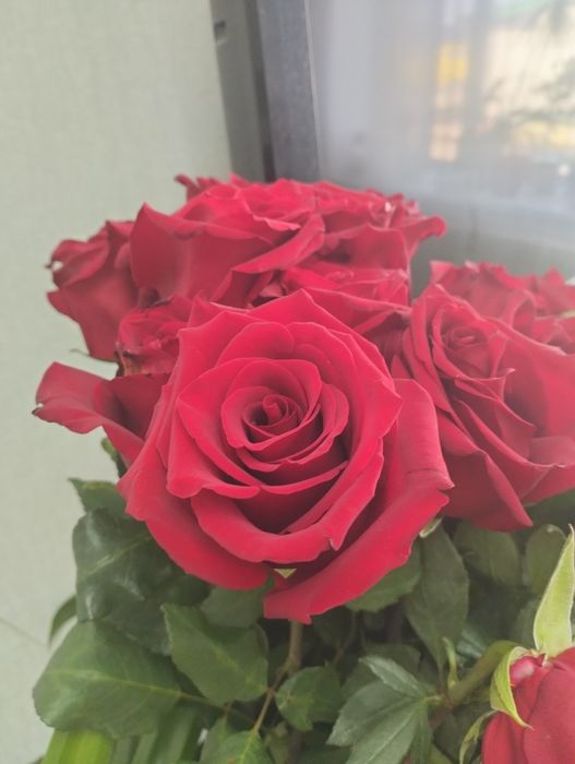 Цветы розы букет
