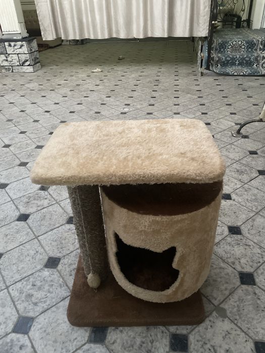 Домик для кошек комфортный уютный дизайн и с когтетичкой