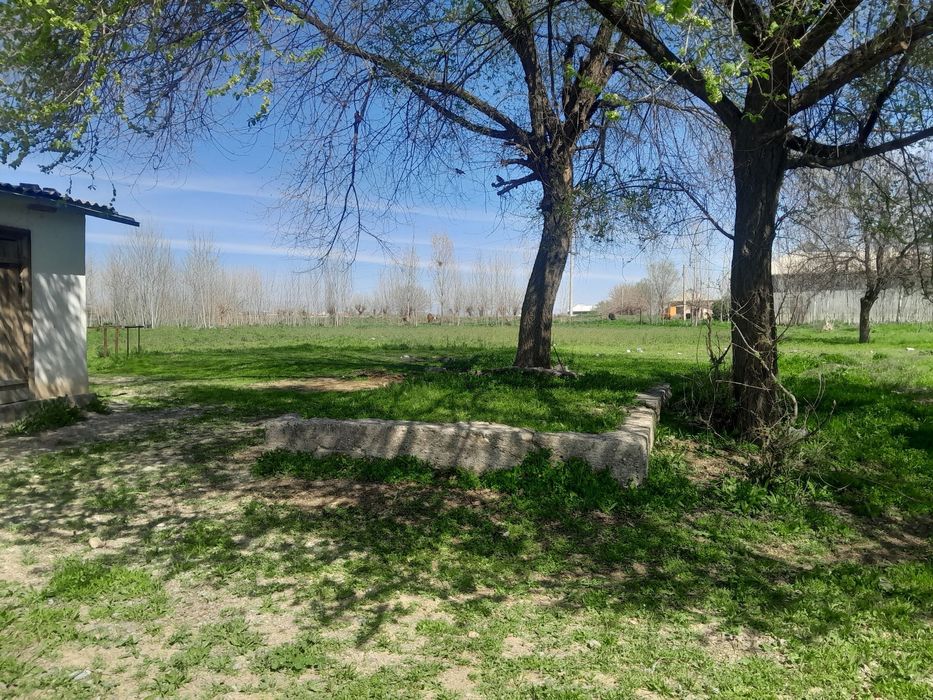 уй  сотилади камуна микоп