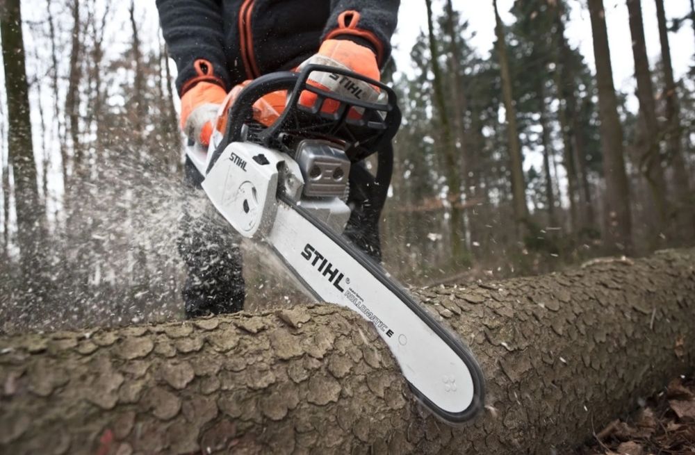 Спилить распилить деревья , пилим деревья .