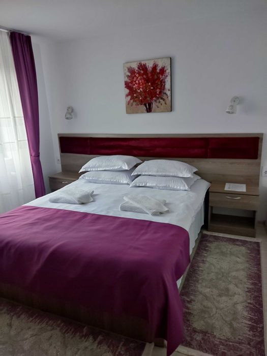 Pensiune și casa cu teren in Bucovina