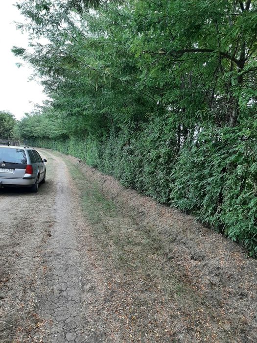 Teren str Casa Apelor