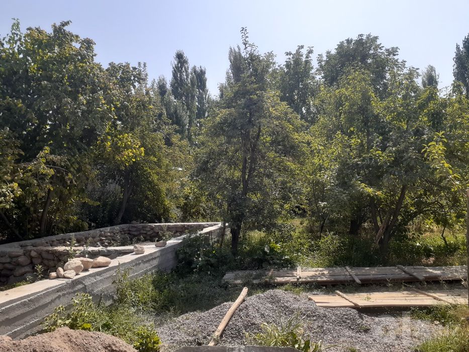 Qoramozorda yer sotiladi