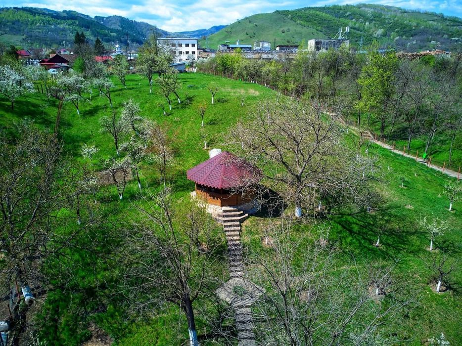 Casă de vânzare Patârlagele