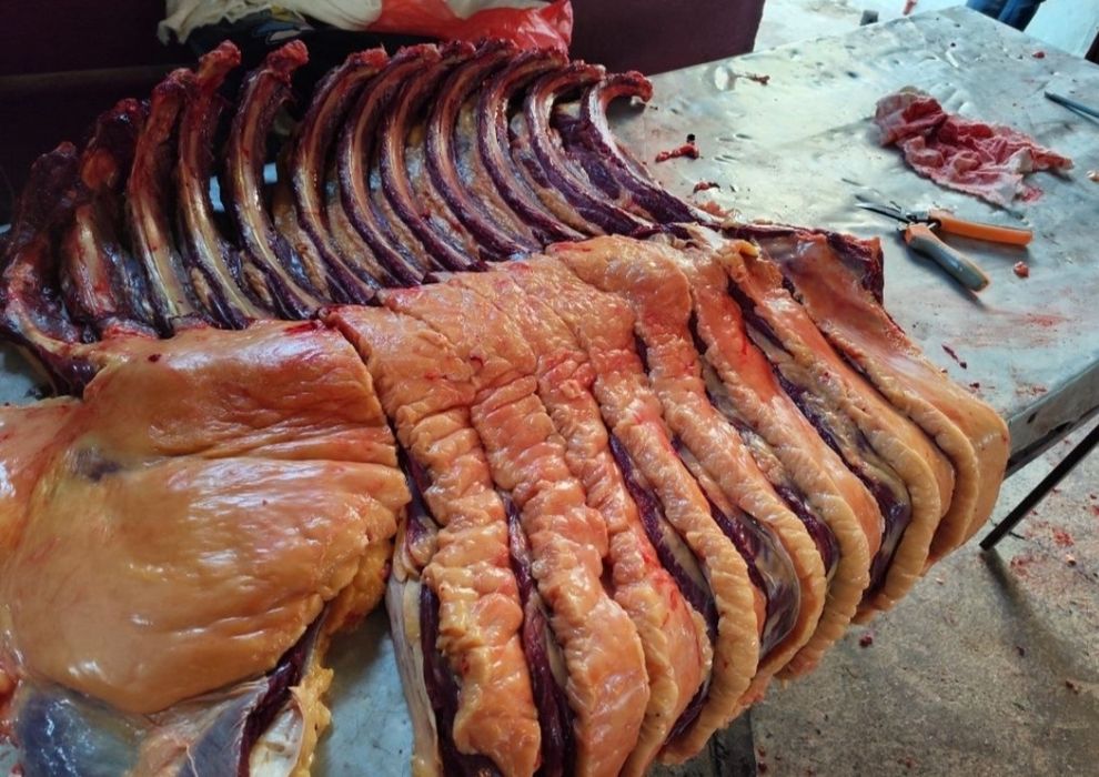 Жылқы Еті Соғым Мяса Конина Қазы