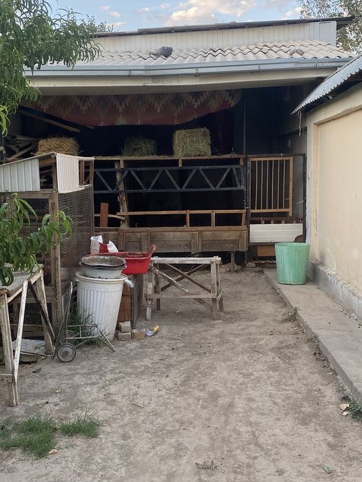 UY sotiladi Nazarbek omad kochasi 22A