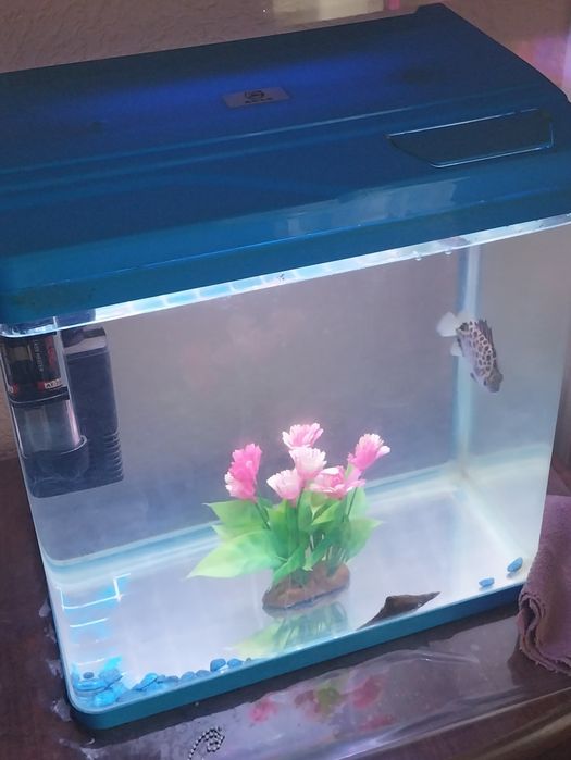 Китайский аквариум 30 литров