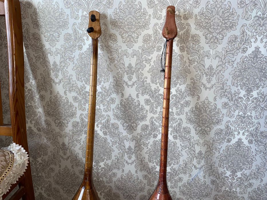 Қазақ ұлттық домбырасы