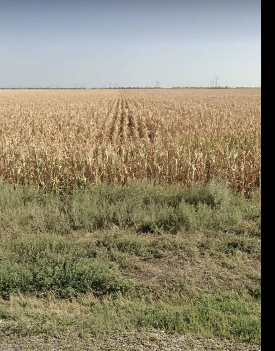 Vand teren extravilan Tisita Doaga