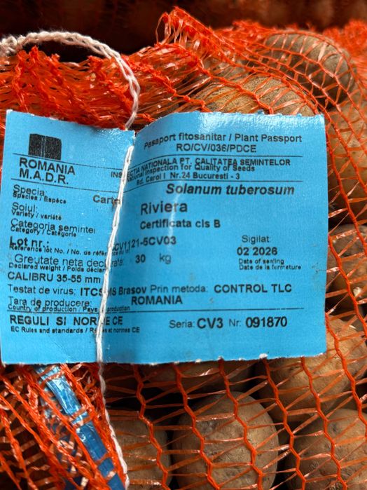 Sămânță de cartof certificată