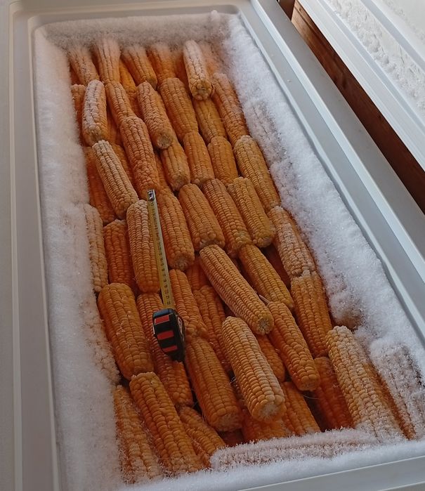 Porumb zaharat congelat Târgoviște