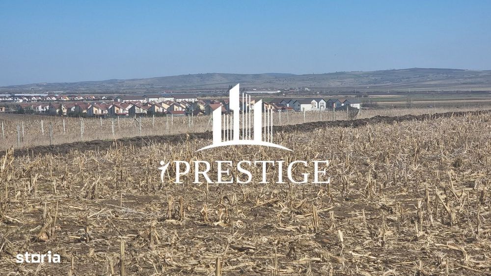 Teren Intravilan Cu Utilități | Puz | Construcție Casă | Șura Mică