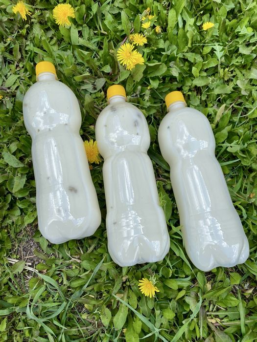 Қымыз сатылады (Кумус)