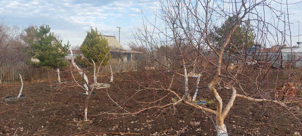 Продам дачный участок