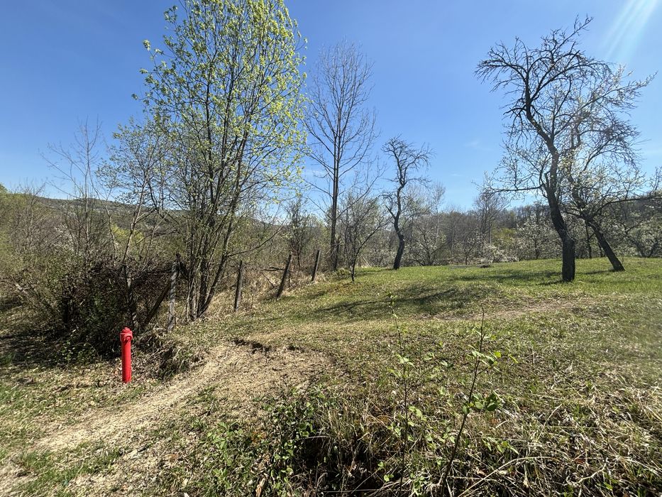 Raul Alb de Sus - extravilan faneata -5246mp