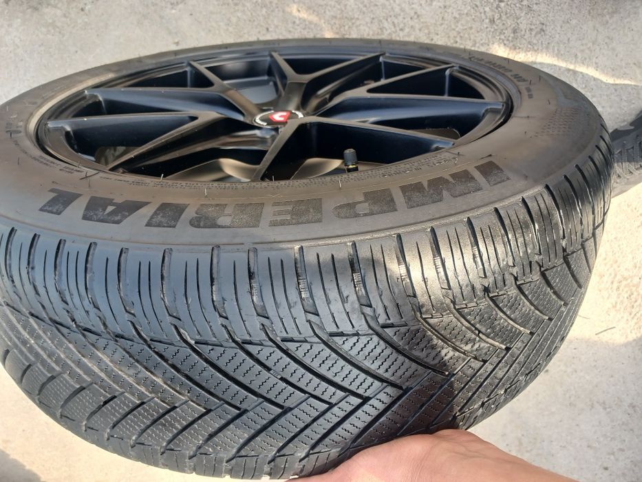 17 vossen saka diska balon