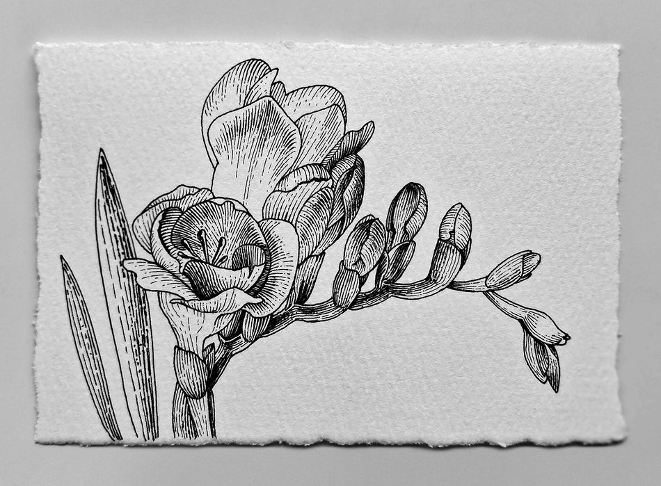 Нежни графични рисунки на цветя – ръчна изработка