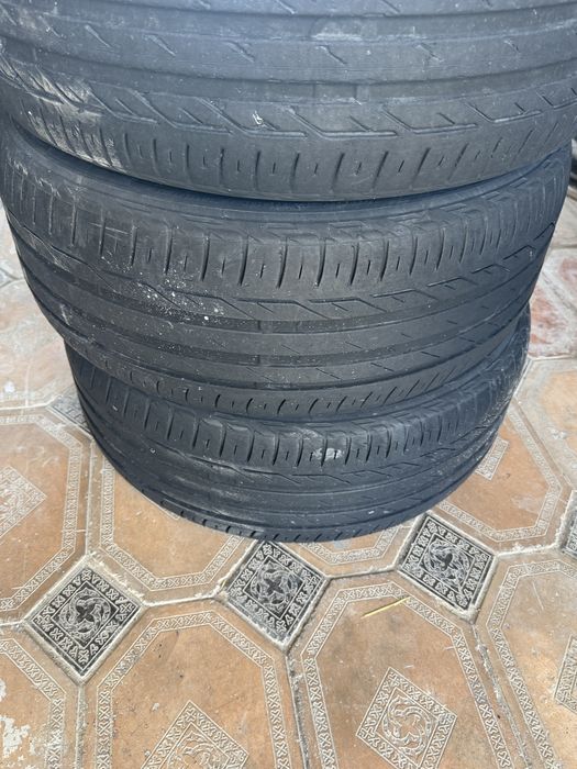 Шины болоны болон болон