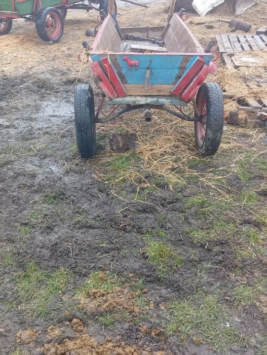 De vânzare armăsar cuminte și caruta