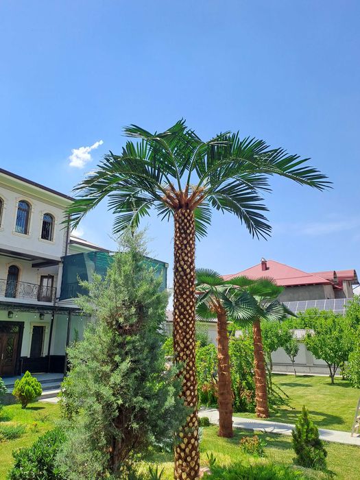 Sun’iy palma daraxtlari | ECO PALMA | 30% chegirma