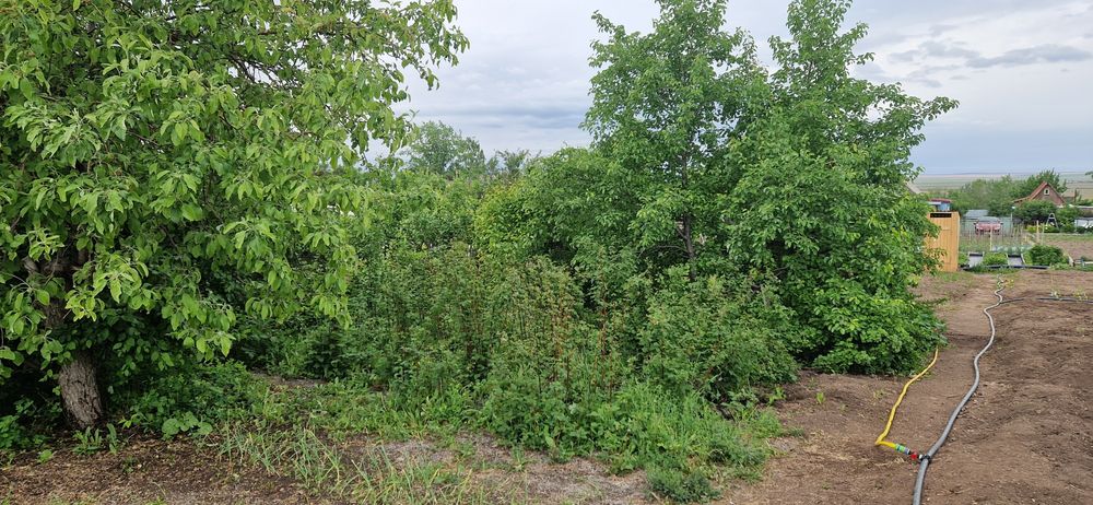 Продам дачу Уралочка