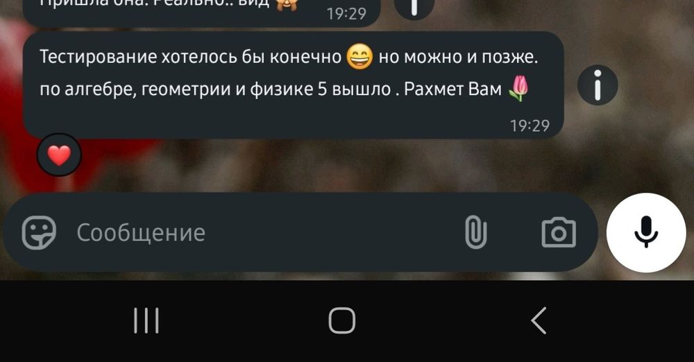 Репетитор Математики и Физики