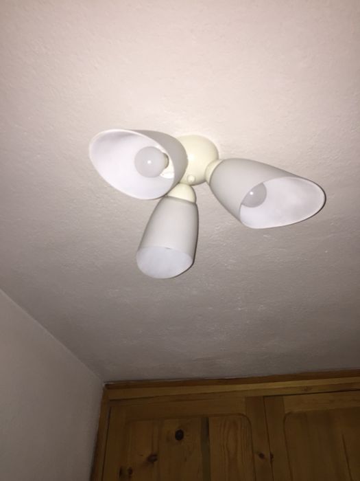 Полилей, тройка, използван само три месеца