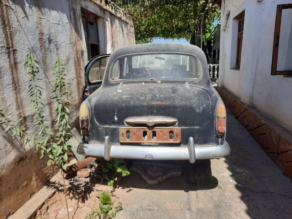 Moskivich kafolatli