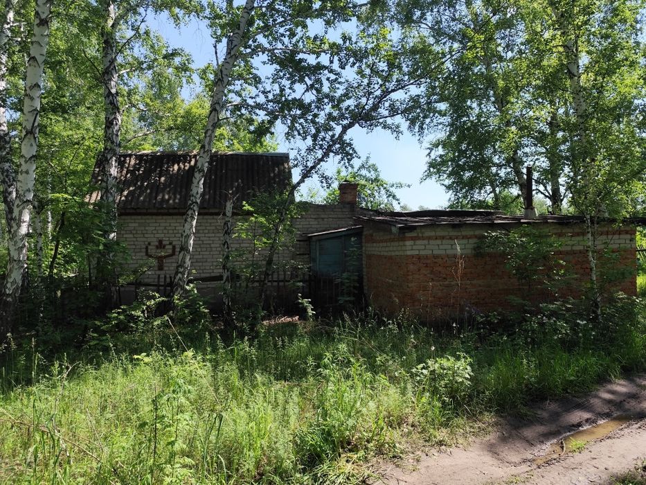 Продам Дачу в Новопавловке в лесу