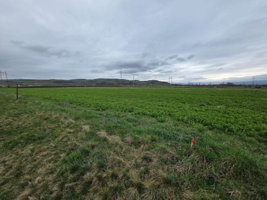 Vând teren Oarda de Jos